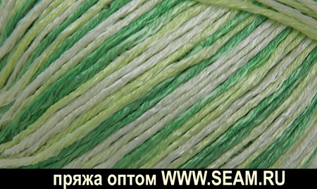 Пряжа СЕАМ Ламбада фине принт