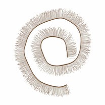 Ресницы для кукол и игрушек HobbyBe