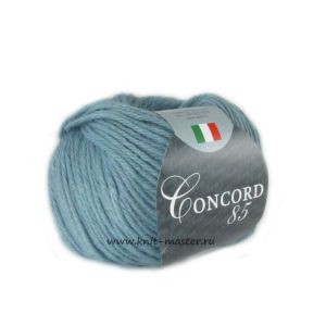 Пряжа СЕАМ Конкорд 85