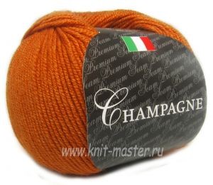 Пряжа СЕАМ Шампань