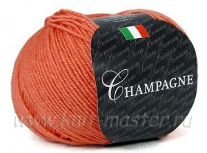 Пряжа СЕАМ Шампань