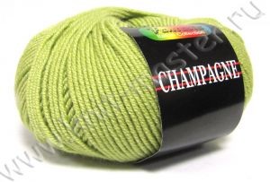 Пряжа СЕАМ Шампань