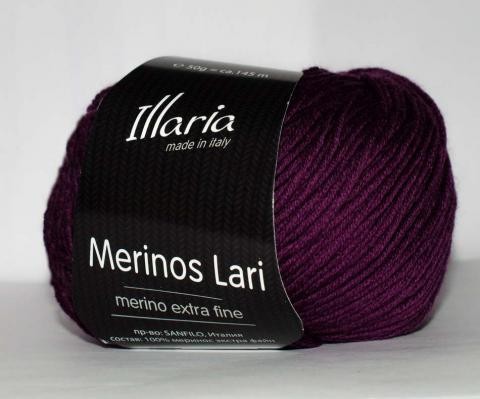 Пряжа Illaria Merinos Lari