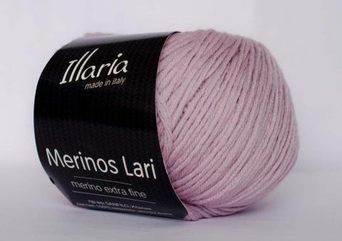Пряжа Illaria Merinos Lari