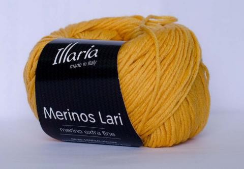 Пряжа Illaria Merinos Lari