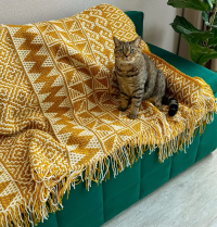 Жаккардовая шапка